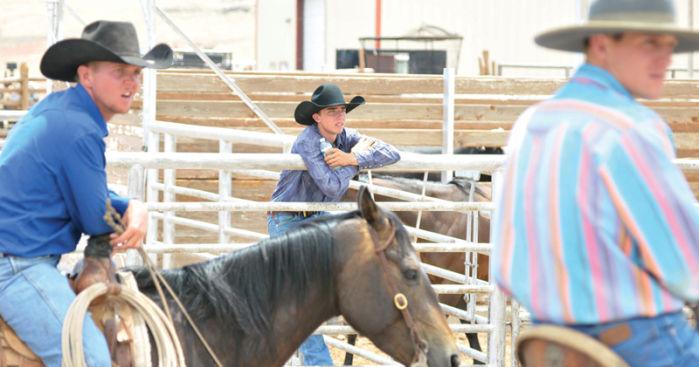 Babbit Ranch Hashknife Babbitt Ranches' Hashknife colt sale brings out Flagstaff's cowboy ...