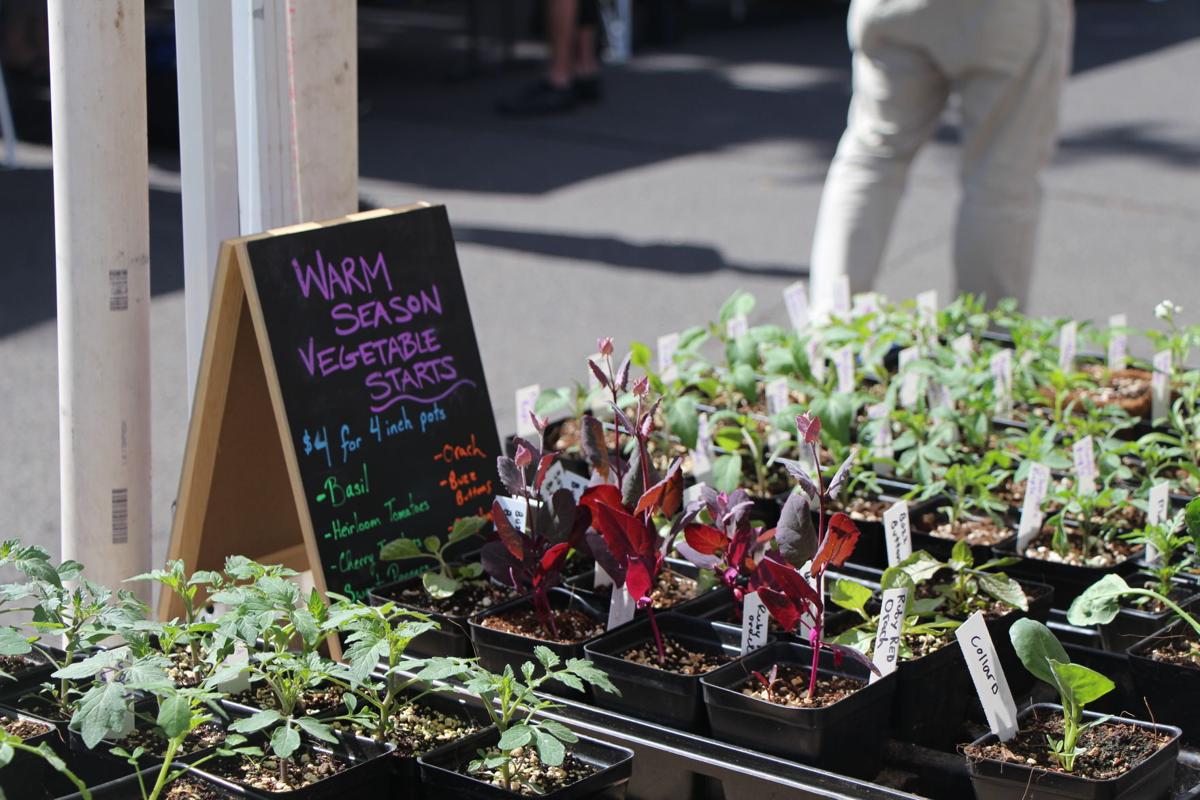 Farmers Market 3