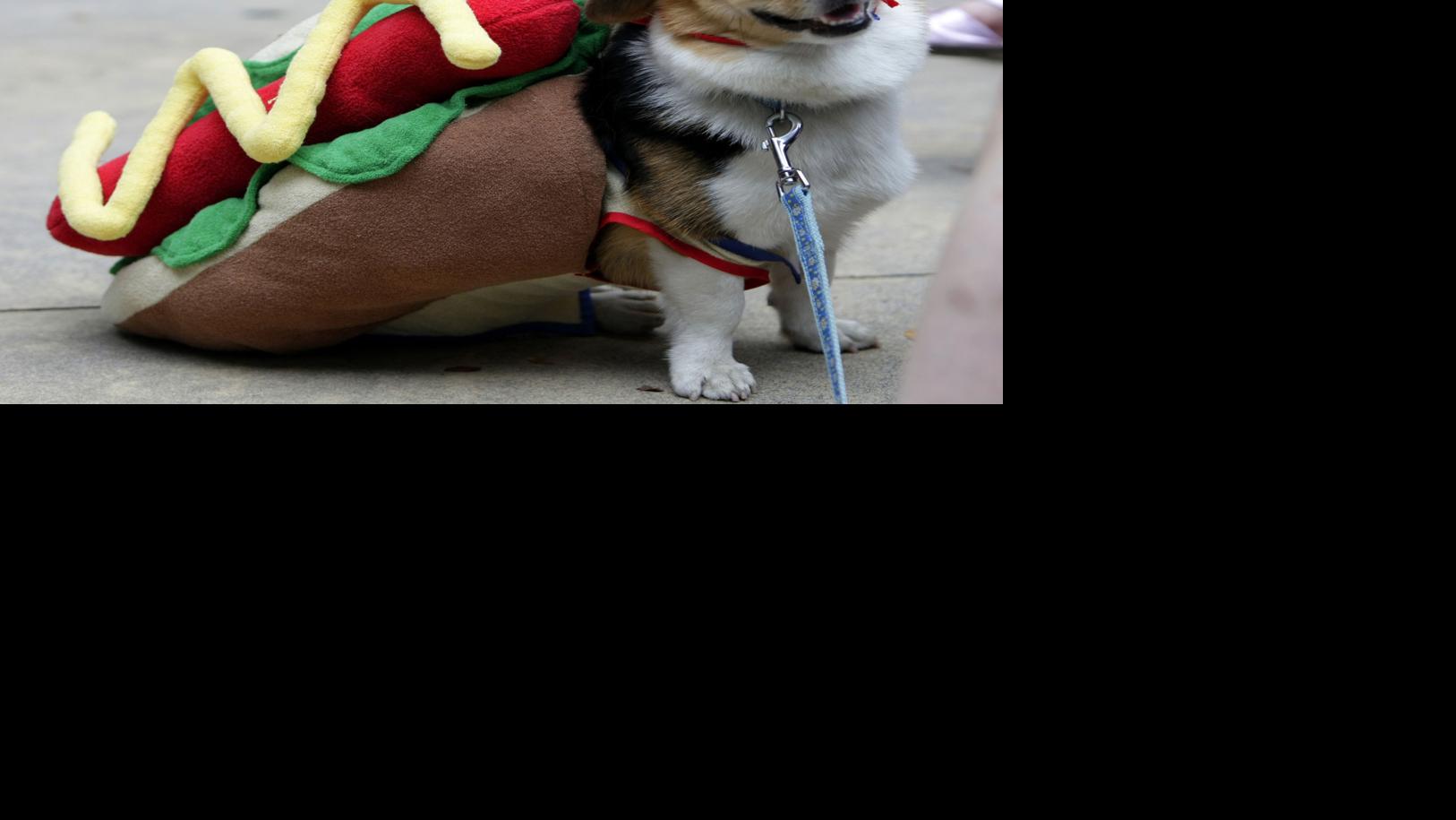 Costumes, haunted houses and candy: How Americans are preparing for Halloween