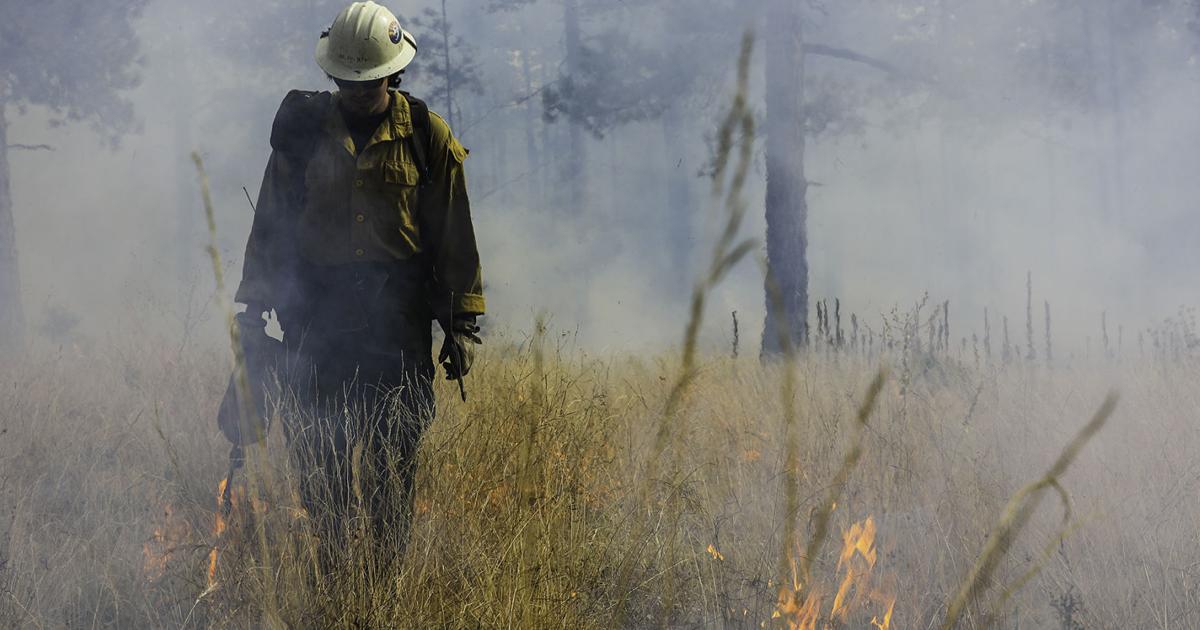 Three more prescribed burns planned by Coconino National Forest beginning Nov. 6 | Local News