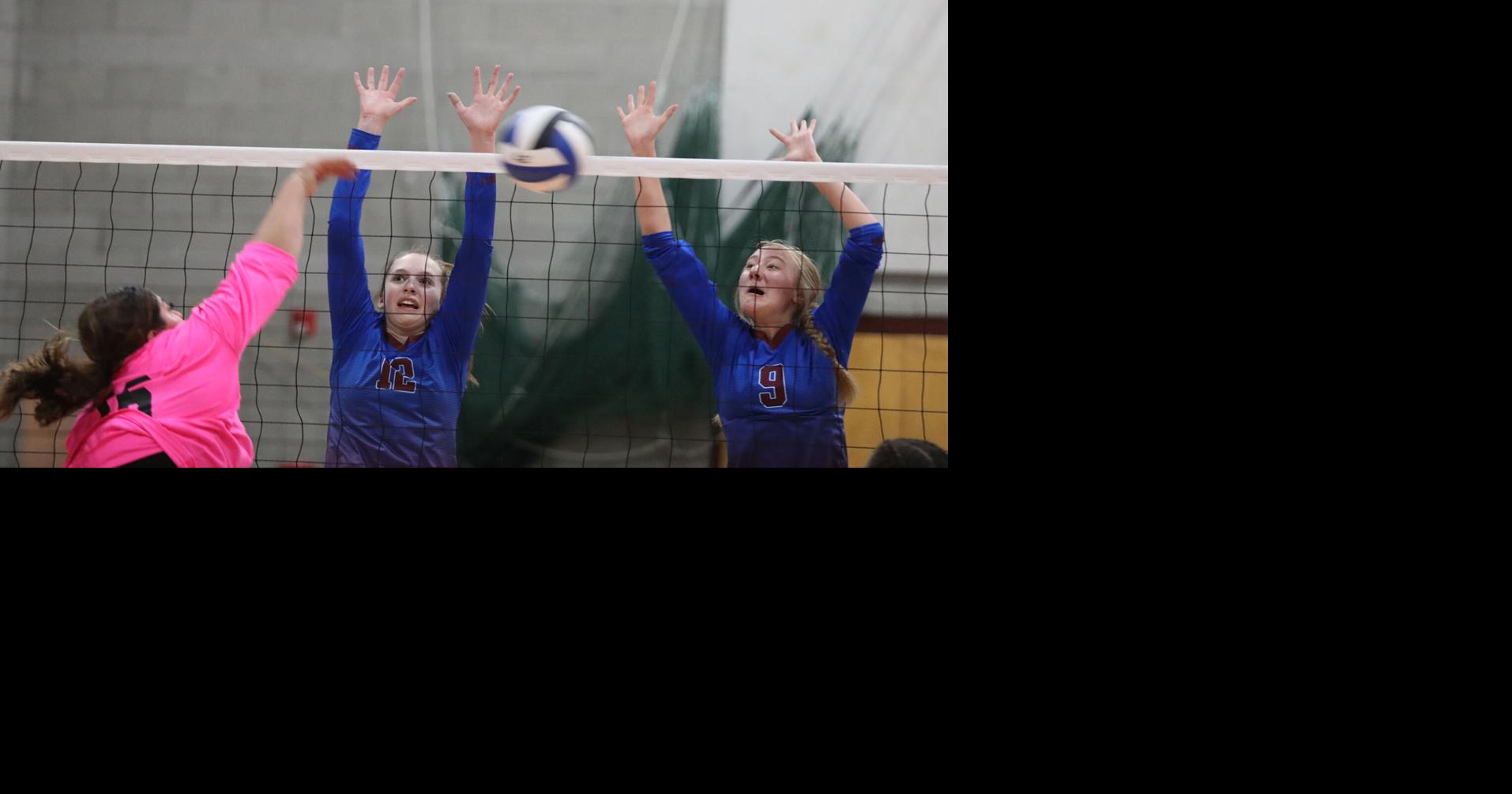 NPA volleyball advances to state tournament with win over Morenci Tuesday