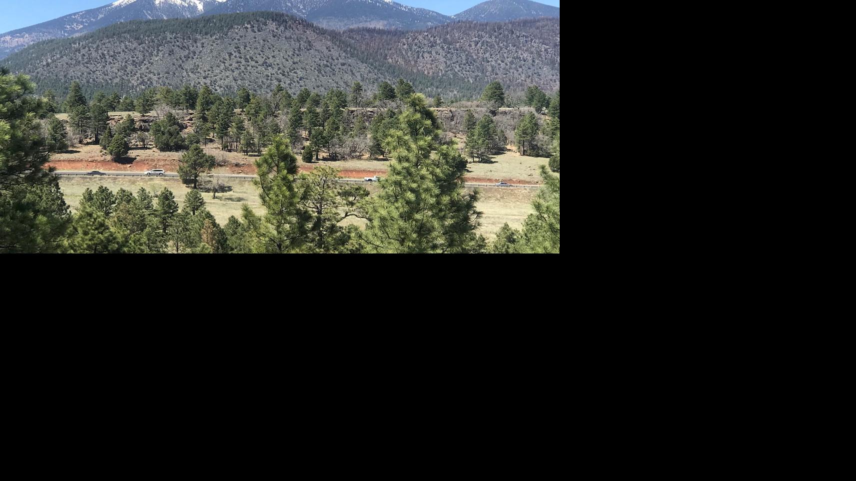 Ask a Ranger: More than meets the eye on McMillan Mesa