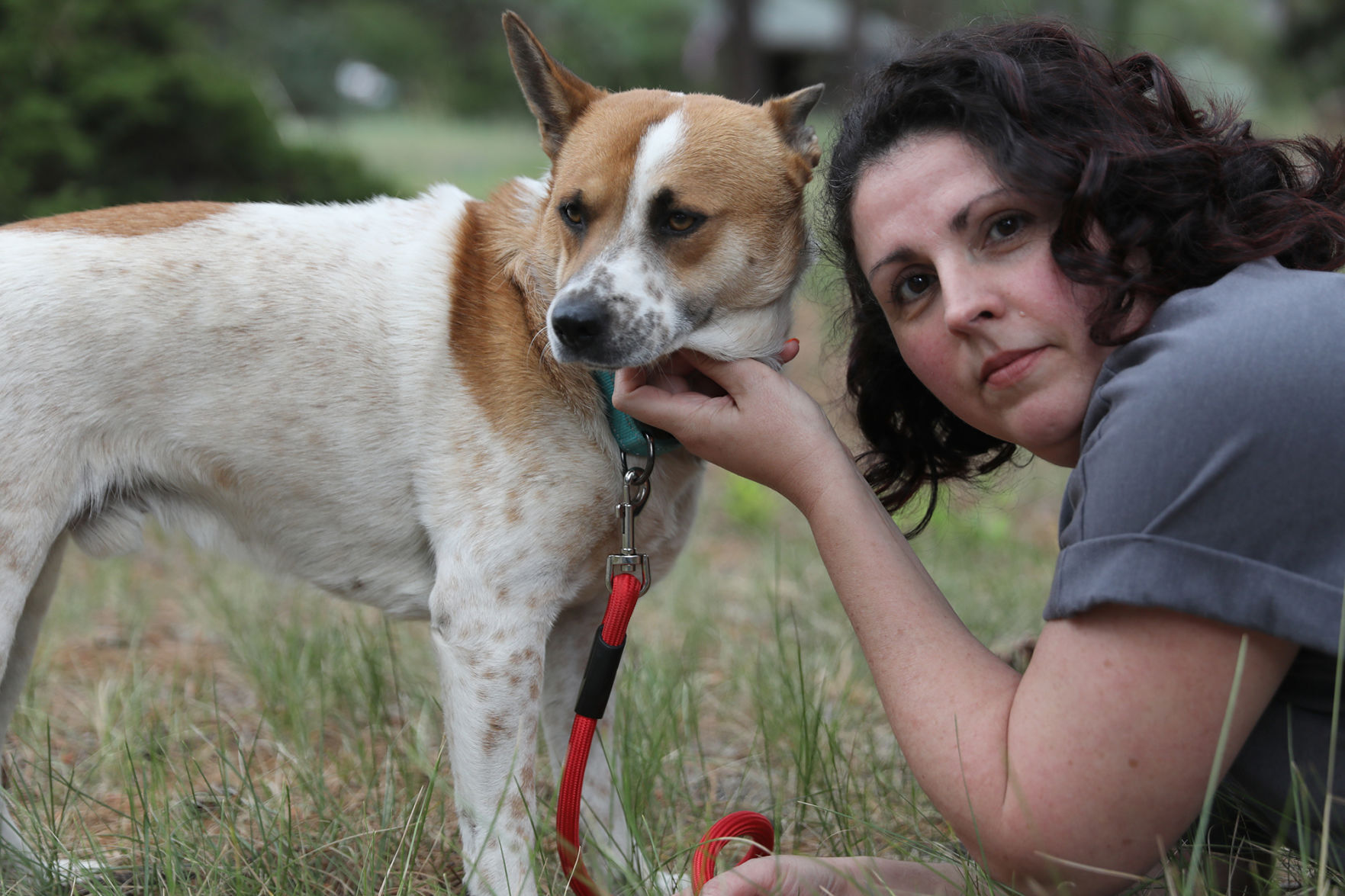 Fostering a bond: What it takes to prepare shelter dogs and cats