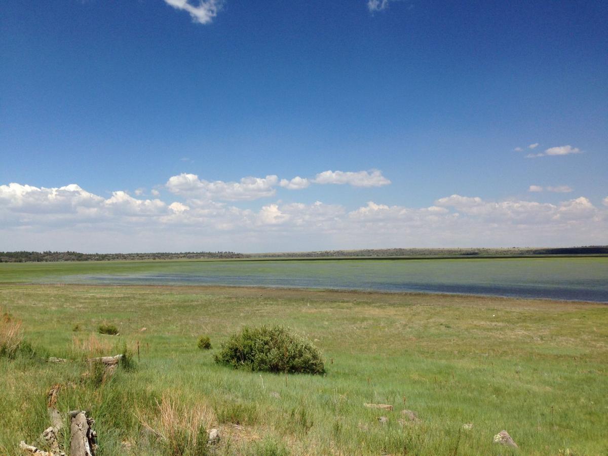 Mormon Lake is on the rise Local
