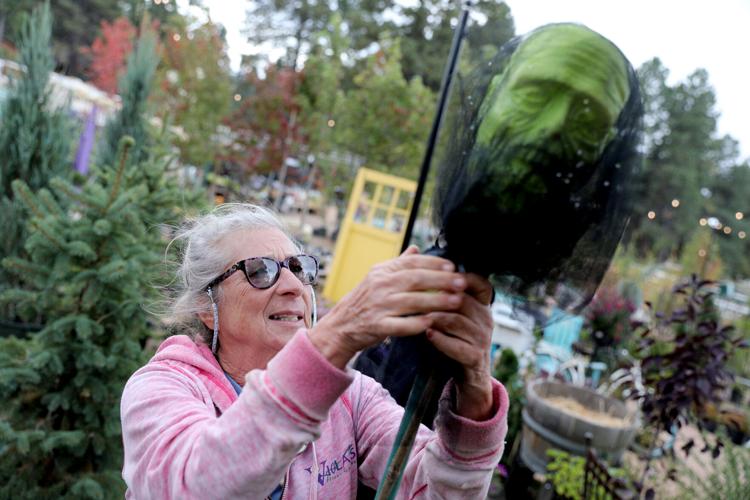 Gallery Viola's Flower Garden prepares for the spooky season Local