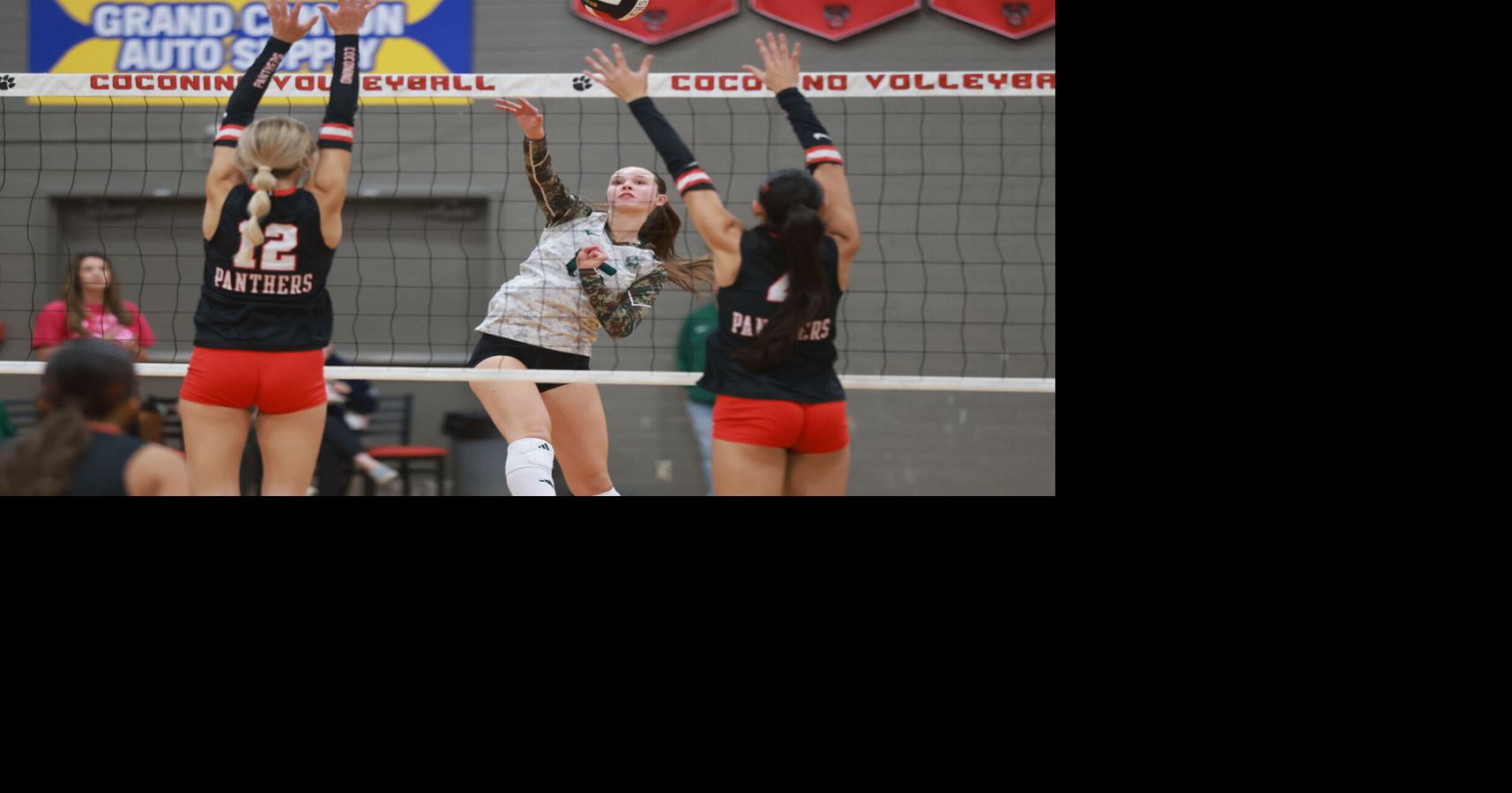 Flagstaff sweeps Coconino amid injuries; lineup shakeups | Local Sports ...