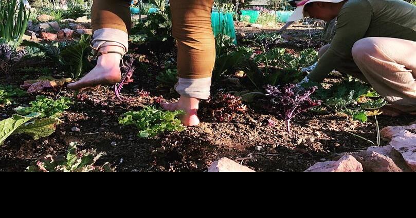 The She Wolf Project: Empowering Flagstaff one howl at a time