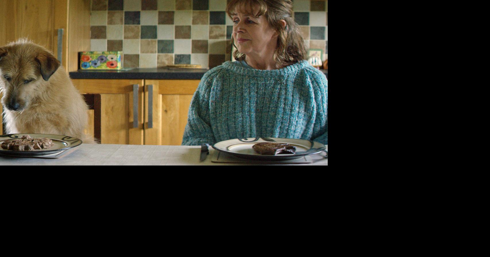 Movies in Flagstaff: 'R&oacute;ise & Frank' make their way to Theatrikos