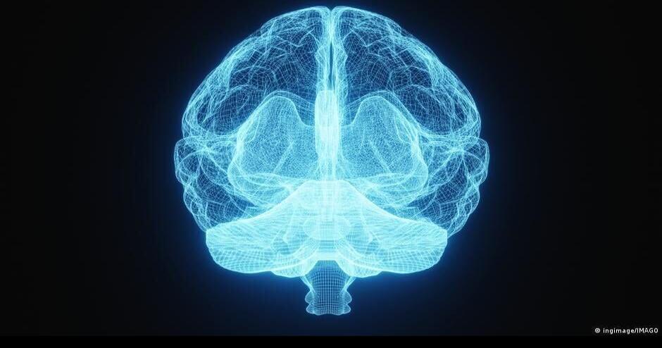 Computer chips made with human neurons