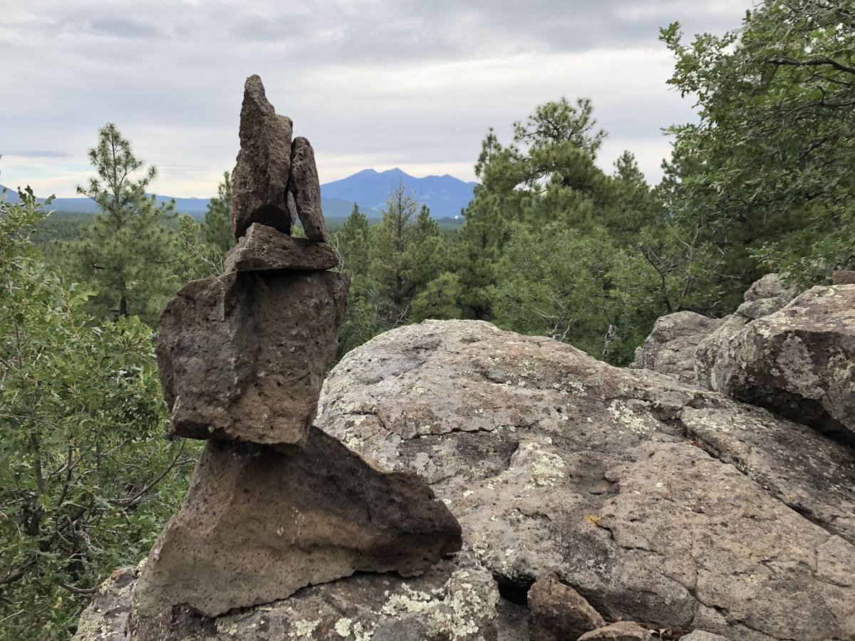 The San Francisco Peaks are evident along the Two Spot-Gold Digger loop, but the best view is from the observational lookout..jpg