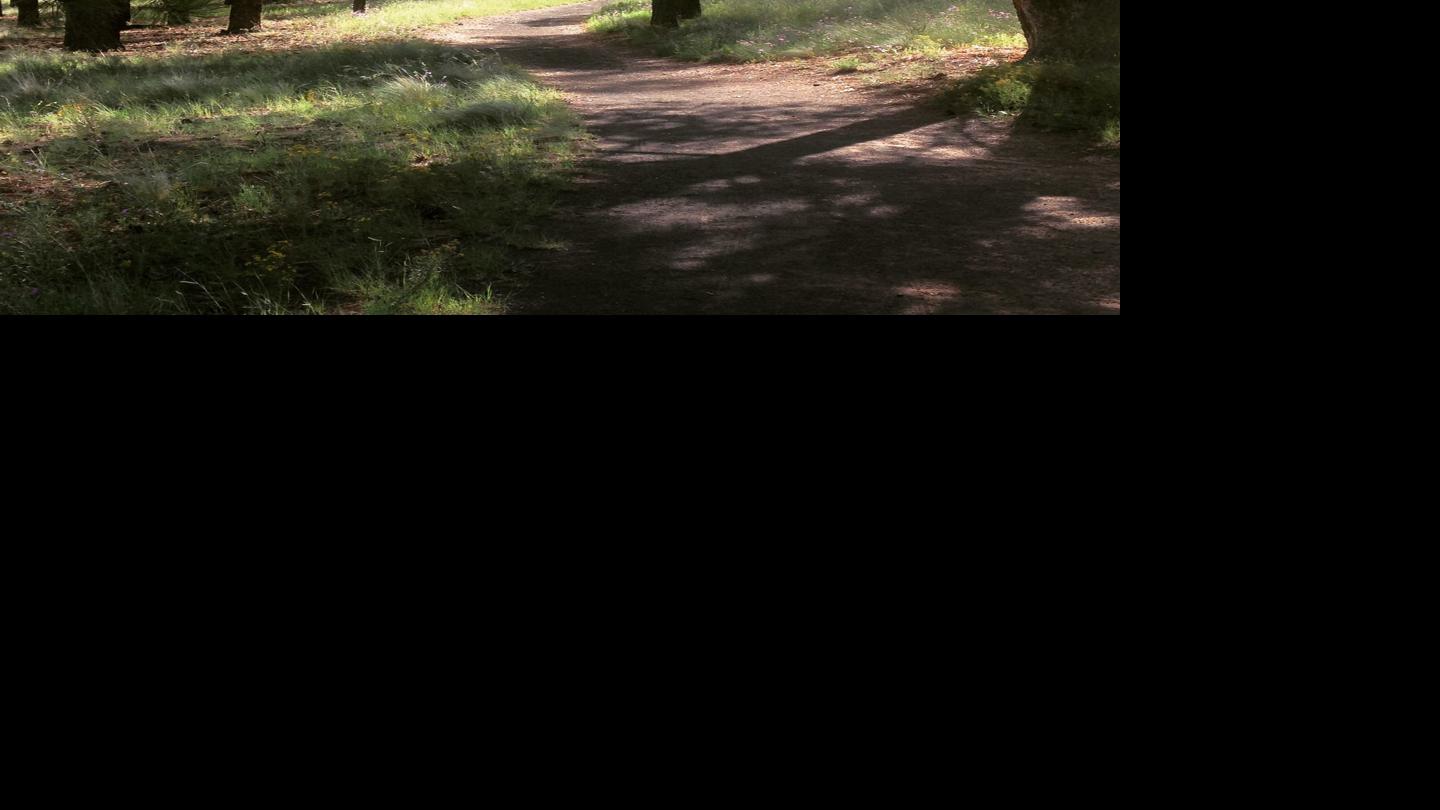 High Country Running: Three tips for new high country runners