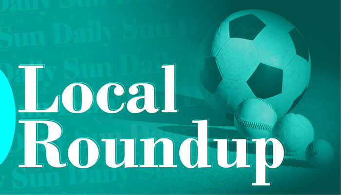 LOCAL ROUNDUP: Area beach volleyball players earn section honors