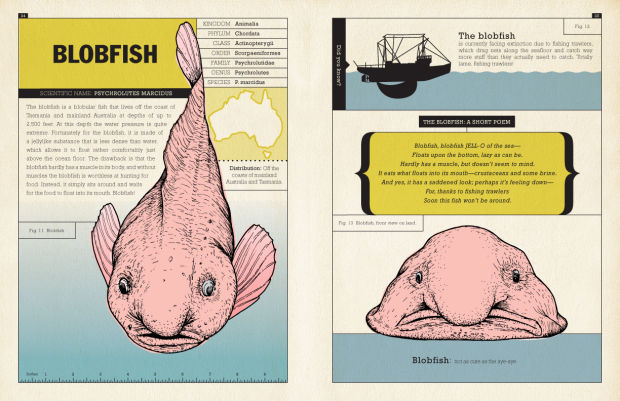 Blobfish: The Loss of an Icon