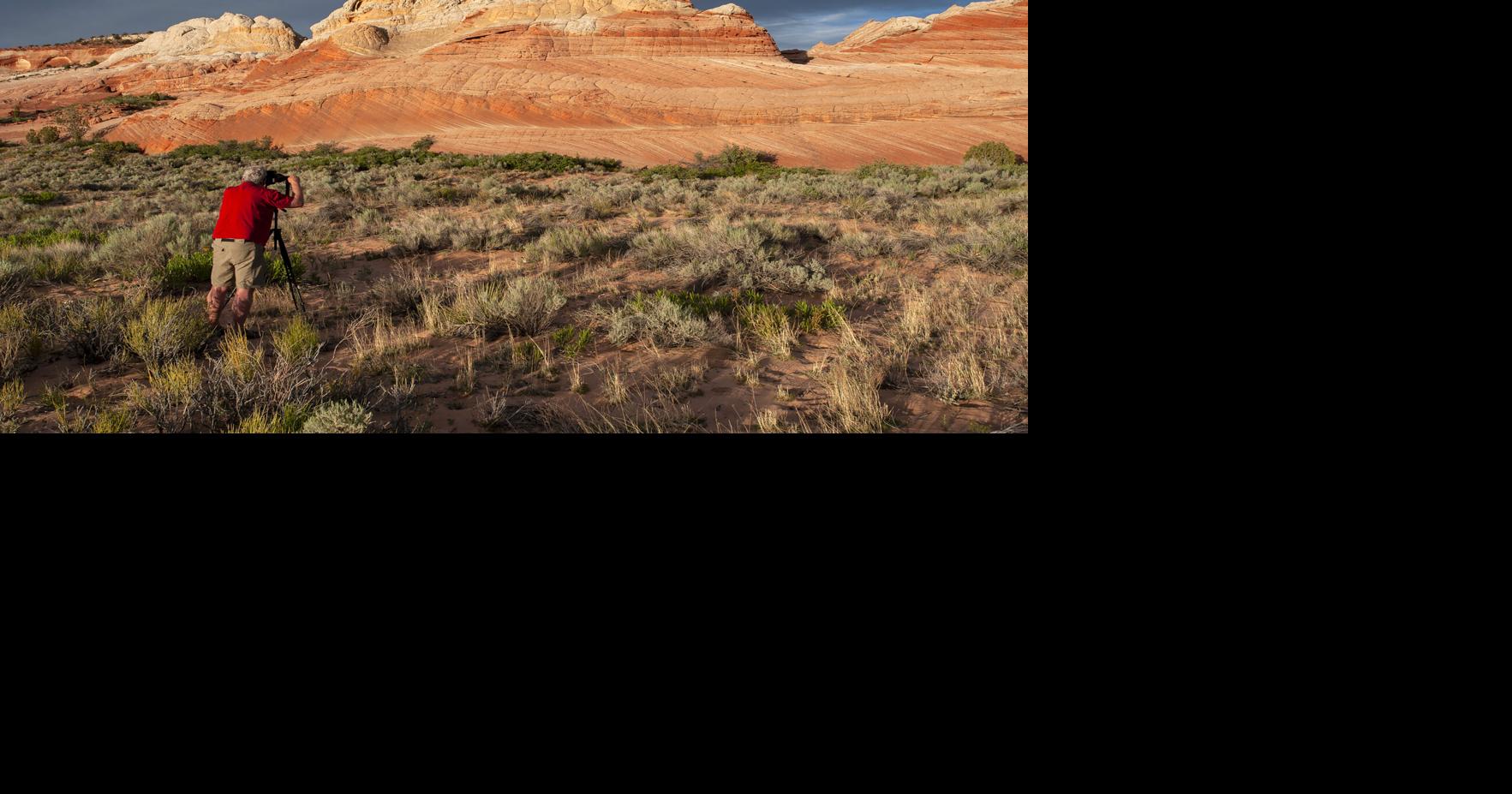 Artists’ Coalition of Flagstaff to host the 2026 Plein Air Photography and Painting Festival