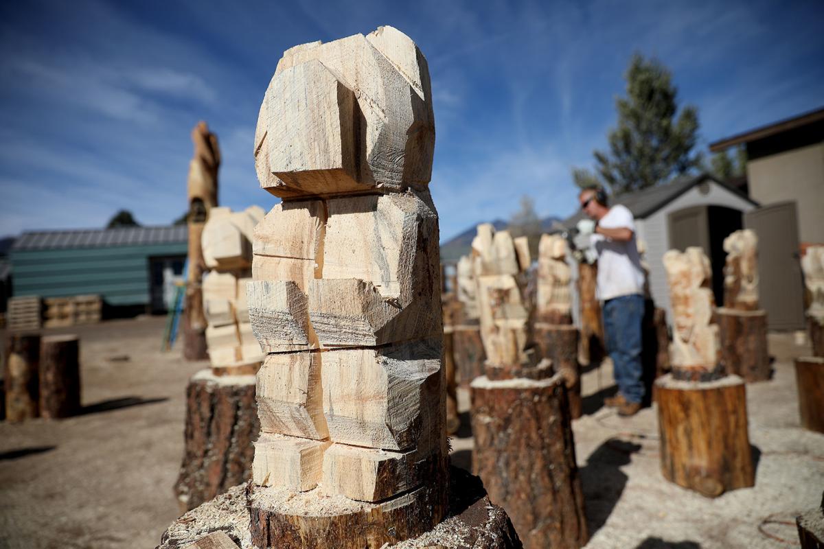 Cutting Edge Art Brought To Bear Via Chainsaws For Doney Park Business Local Azdailysun Com