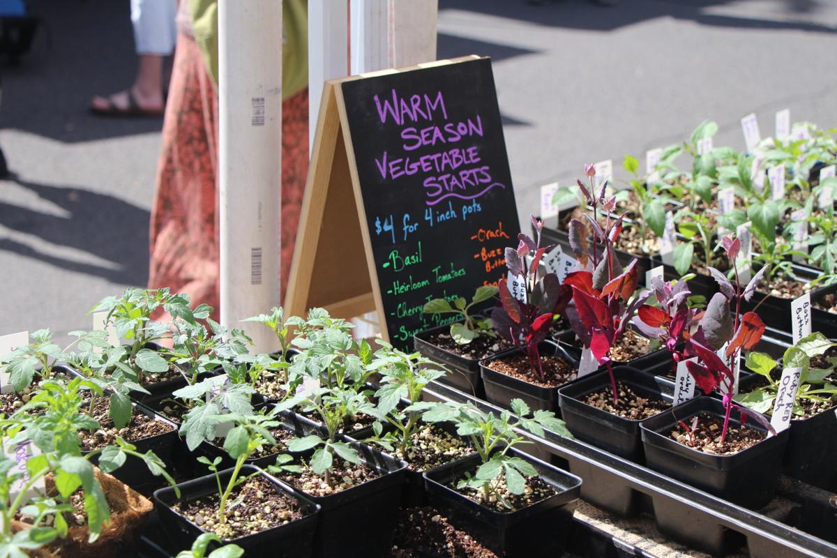 Farmers market 4