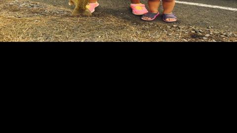 Game and Fish puts 250,000 more fish into Arizona waters