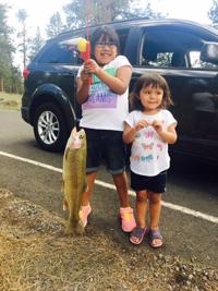 Wallpaper Kaibab Lake Catch Azdailysun Com For Android Free