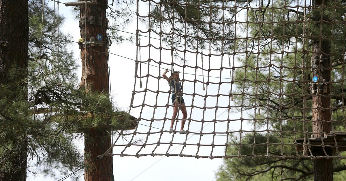 Play in the trees with Flagstaff Extreme Adventure Course ...
