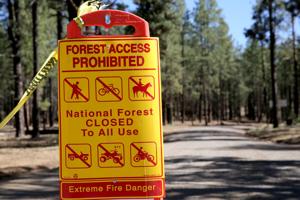 Our View: Cooperation key as forests close
