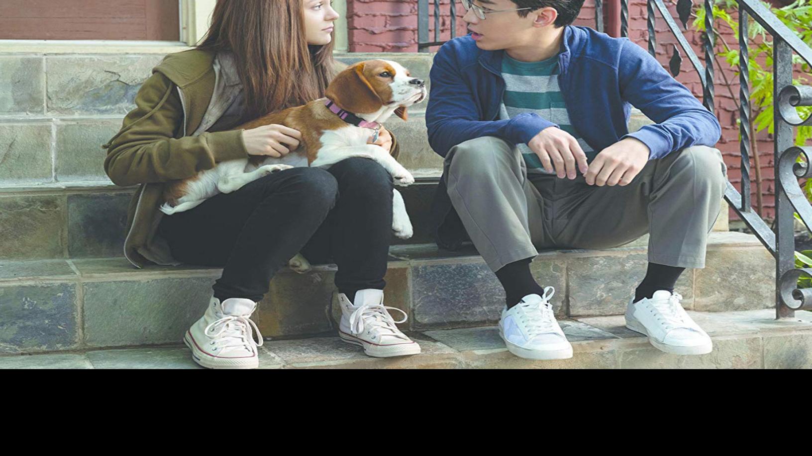 A Dog S Journey Gives Fantastical Trilogy Emotional Bite Movies Azdailysun Com A dog's purpose is a 2017 film based on w.