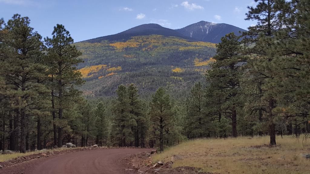 NE Peaks Color
