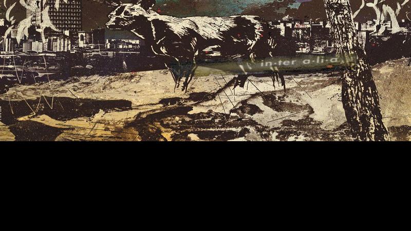 Vibewaves: Do they still have it?