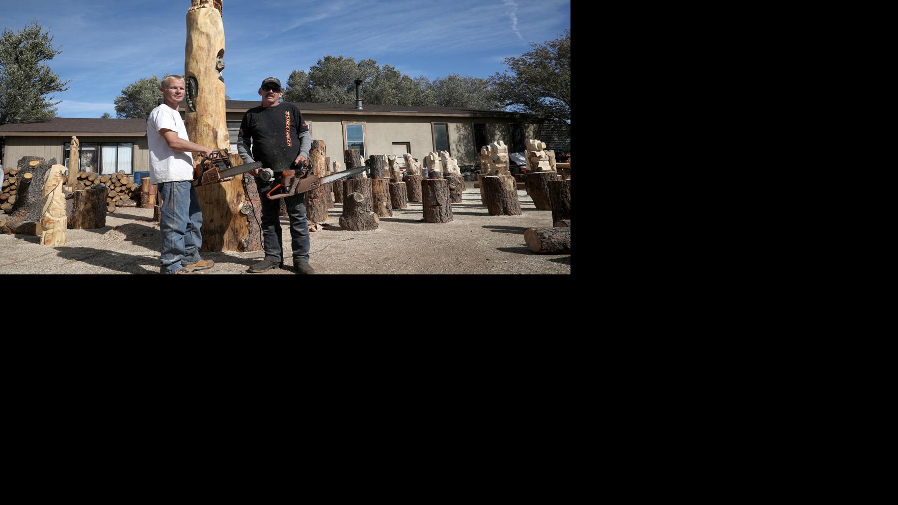 Cutting-edge art brought to bear via chainsaws for Doney Park business