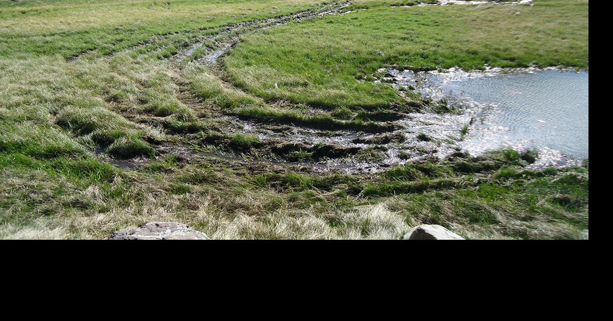 Griffith's Spring near Flagstaff damaged by off-roader | Crime and ...