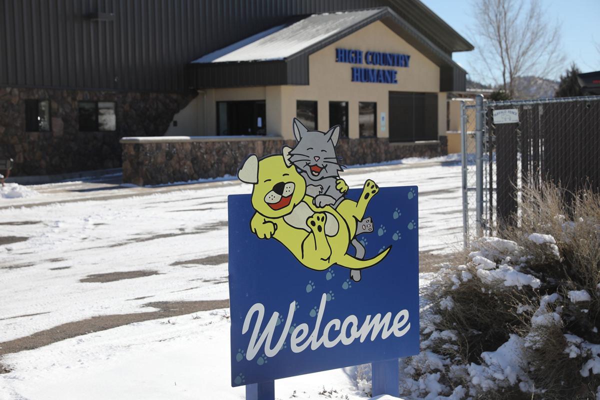 45 Top Images Local Animal Shelters In Pa - Western Pennsylvania Humane
