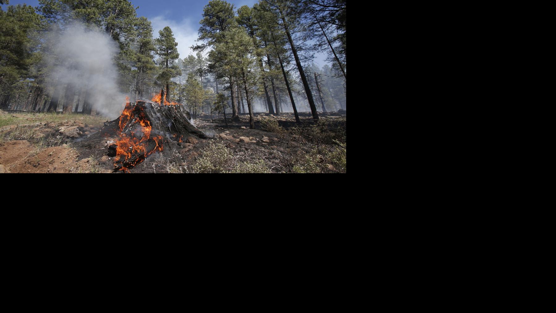 Two human-caused fires burning east of Flagstaff