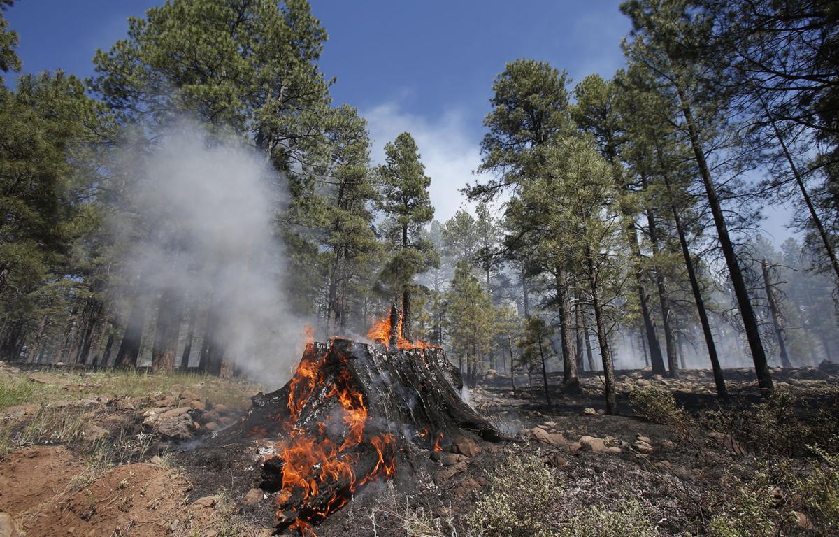 Two humancaused fires burning east of Flagstaff Local