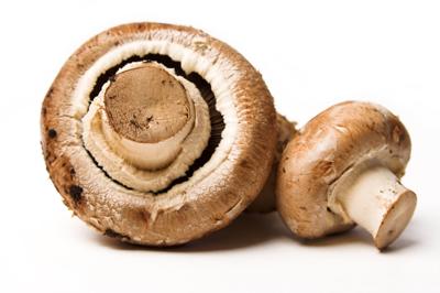 FOOD-MUSHROOM-LARB-DMT