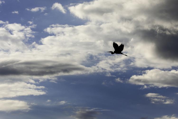 wonderful blue sky