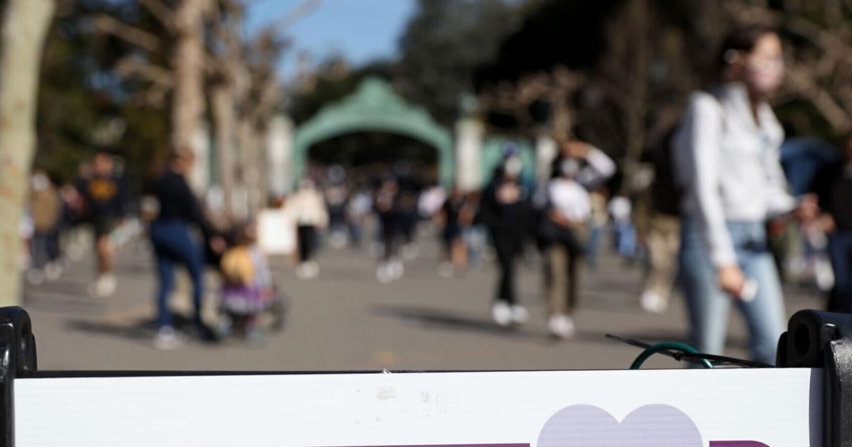US colleges report 20% drop in foreign students over visa clampdown