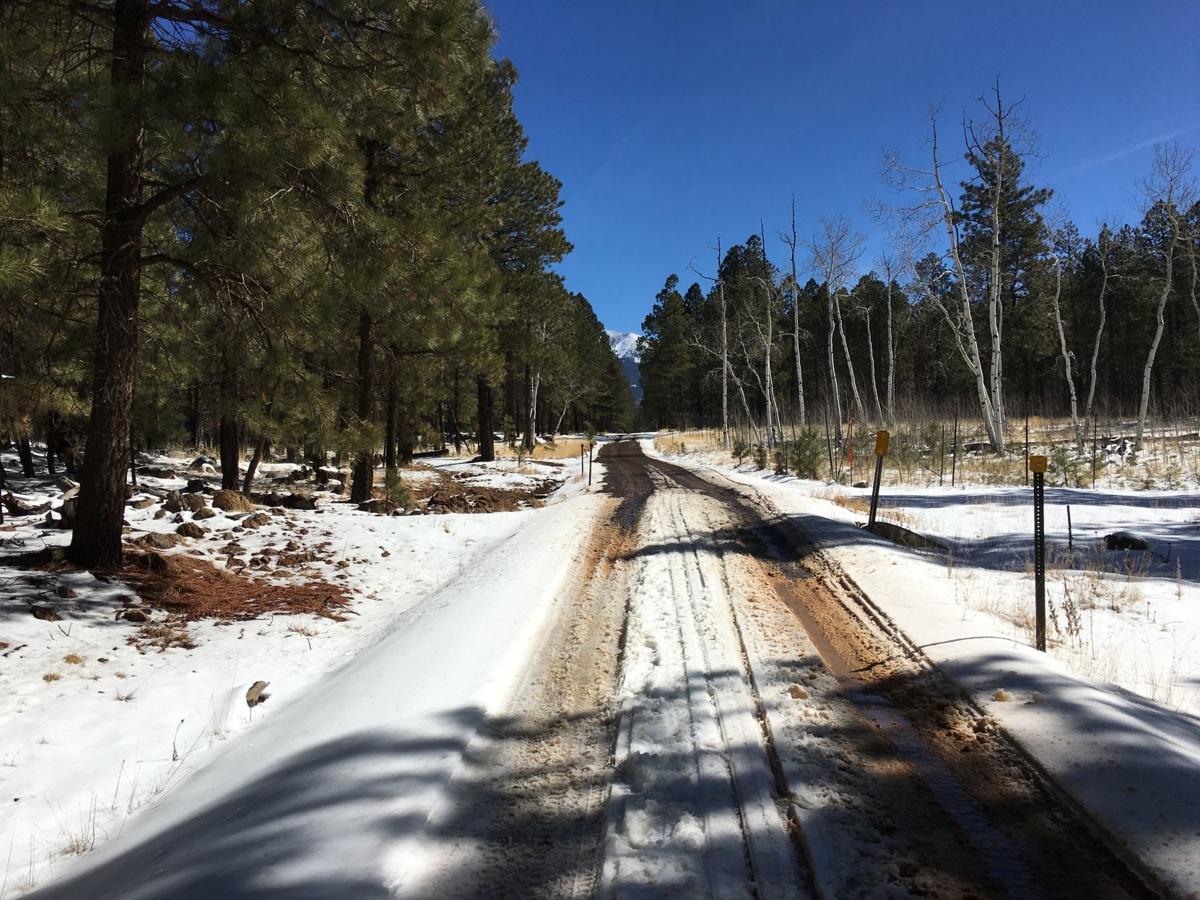 Forest Roads Across Mogollon Rim District Reopen After Storm