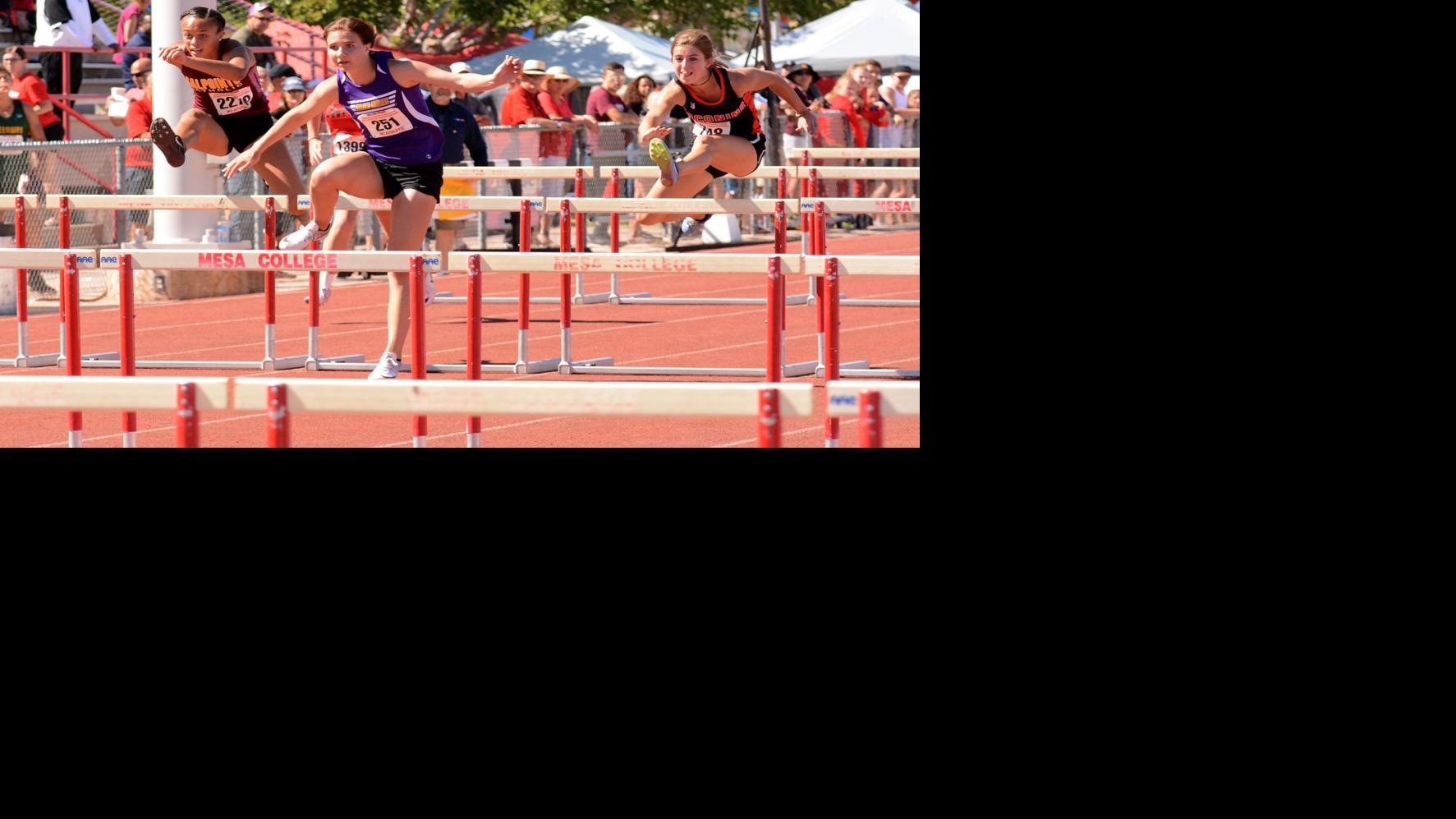 Photo Gallery: Local teams compete at AIA state track and field meet