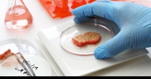 Lab-Grown Meat Approved By USDA