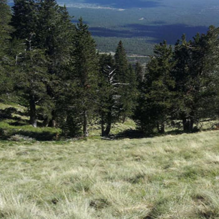 Ghosts Of The Past At Flagstaff Crash Site Local Azdailysun Com