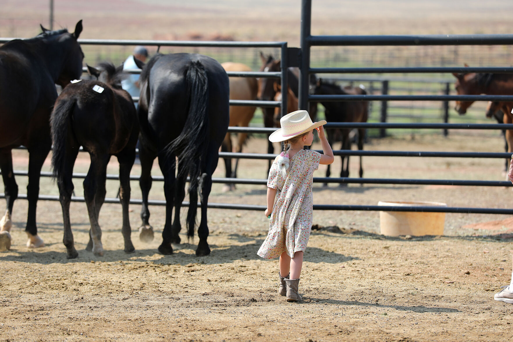 Babbit Ranch Hashknife Gallery: Horsing around at the Hashknife sale | Local News | azdailysun.com