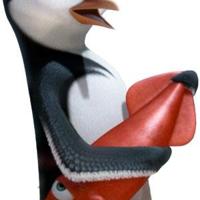 Surf S Up A Wild Wacky Ride Entertainment Azdailysun Com Surf S Up A Wild Wacky Ride Entertainment Azdailysun Com