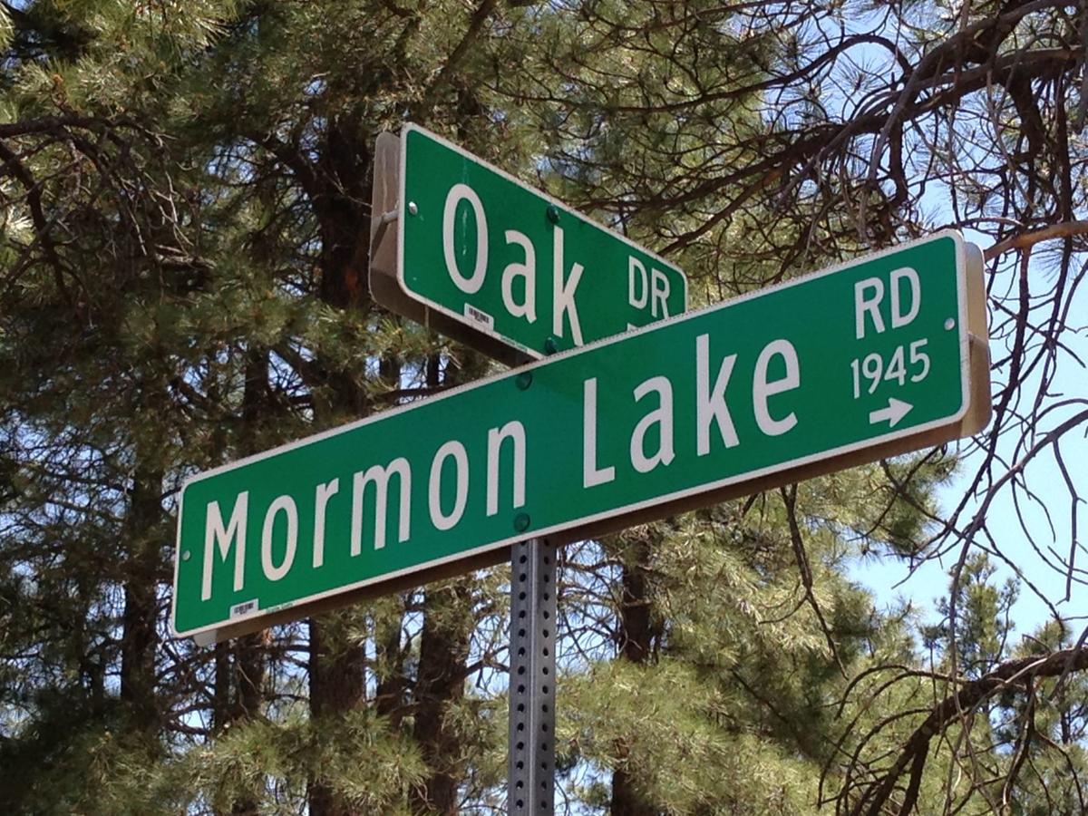Mormon Lake Road Street Sign