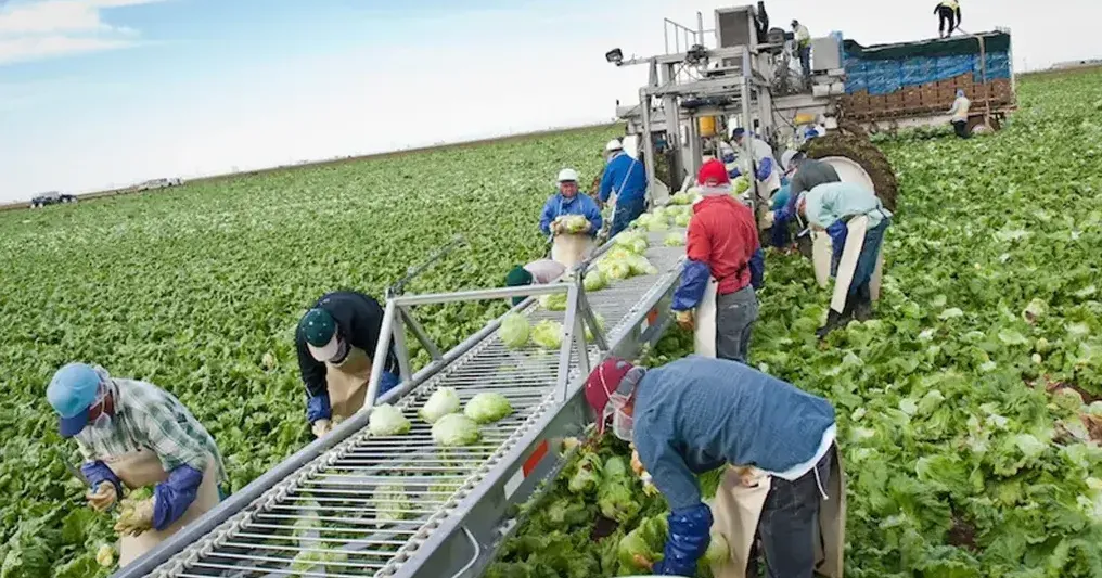 Colorado River cuts haven’t hit Arizona farmers yet, but that might be coming