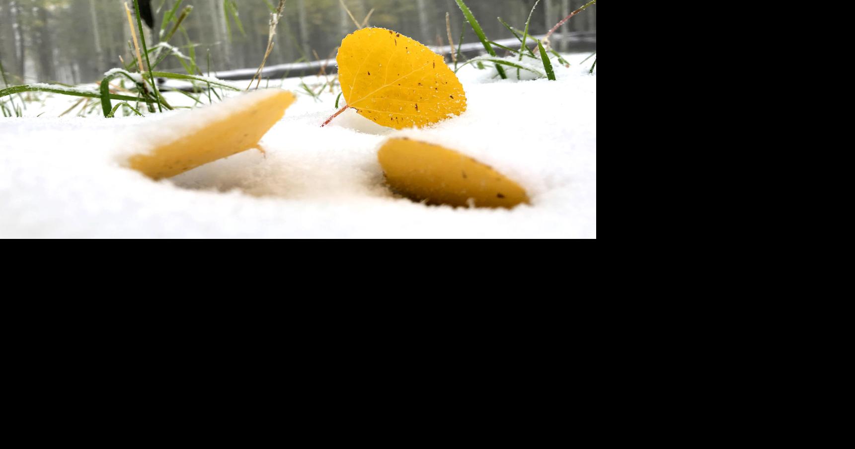 Flagstaff could see snowshowers this Thanksgiving Day News