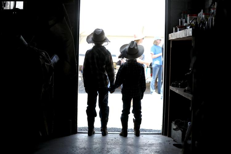 Gallery Babbitt Ranches Colt Sale returns after year off due to COVID