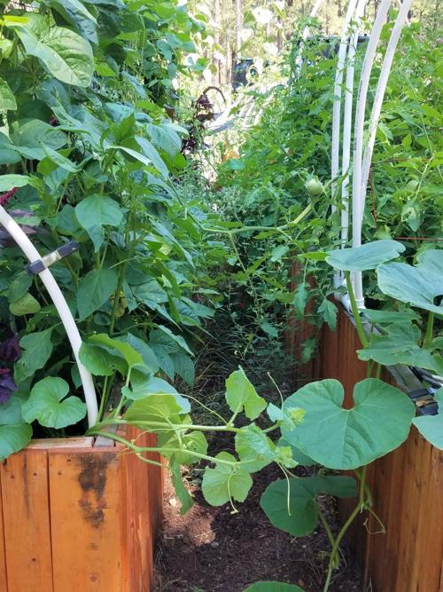vertical garden