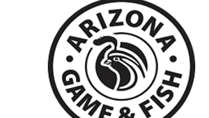 Arizona Game and Fish looking for poacher near Seligman