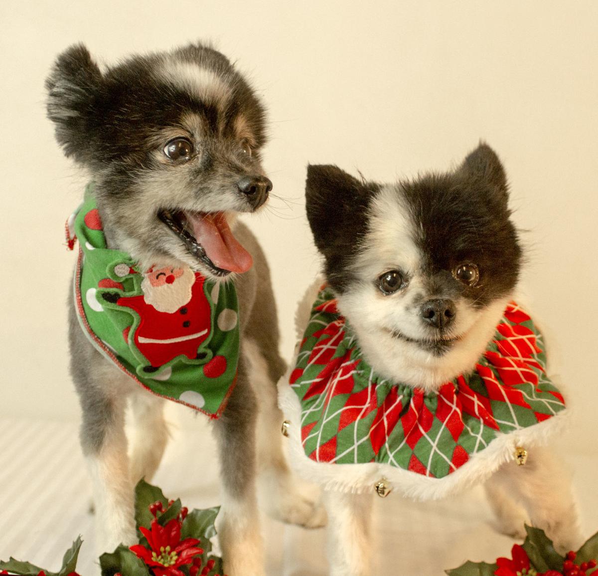 Rhyse and Zoe
