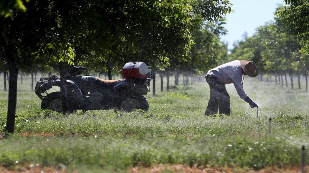 Arizona S New Water Rush Raising Tensions Local Azdailysun Com