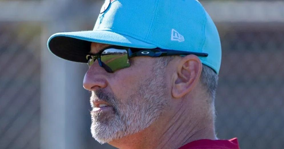 &lsquo;Creating chaos&rsquo; again: Arizona Diamondbacks fans eye return to playoffs